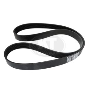 Ribbed V Belt 3911558 for Cummins? B Series and C Series | Aftermarket Replacement